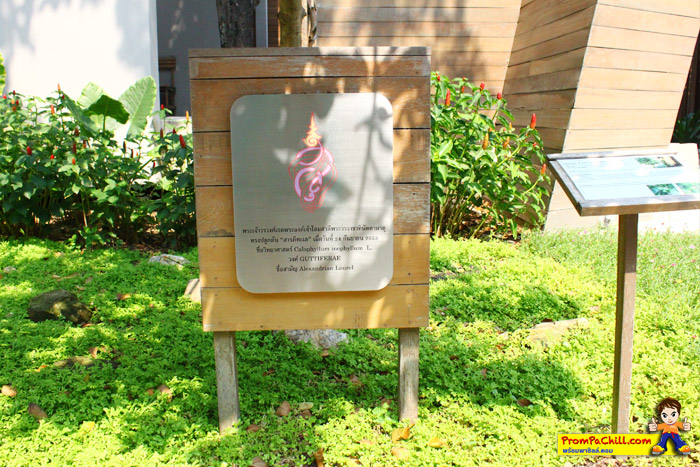 Review Sai Kaew Beach Resort 